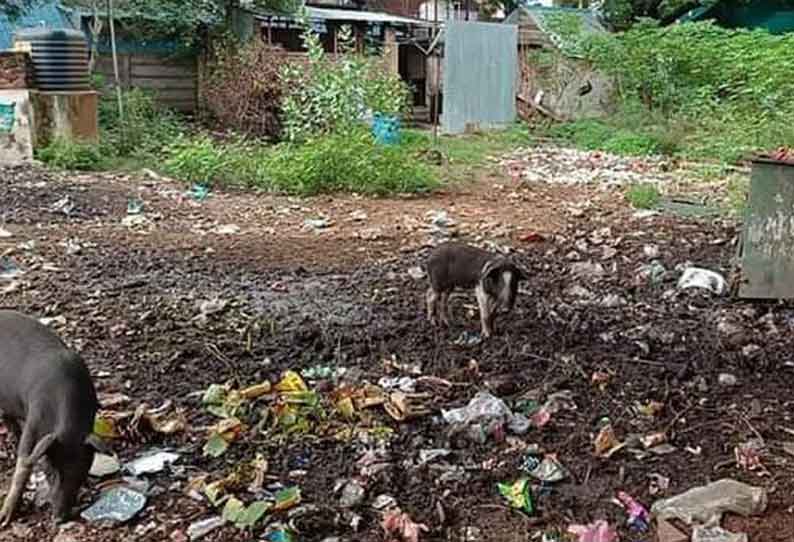 தினத்தந்தி புகார் பெட்டி