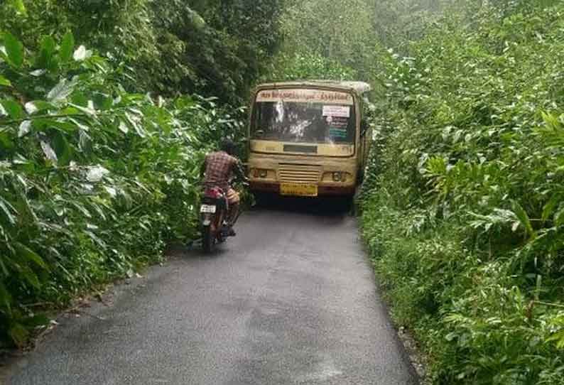 தினத்தந்தி புகார் பெட்டி - மரக்கிளைகள் அகற்றப்படுமா?