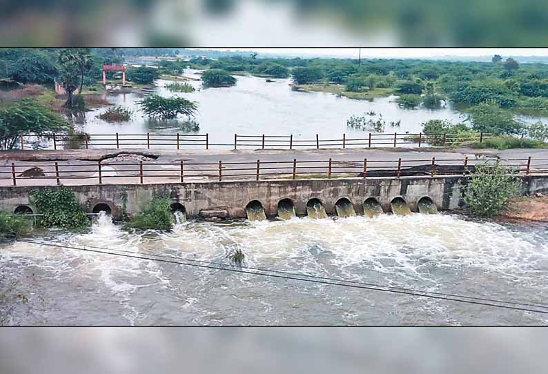 காஞ்சீபுரம் மாவட்டம் பாலாற்றில் வெள்ளப்பெருக்கு - செவிலிமேடு தரைப்பாலத்துக்கு பொதுமக்கள் செல்ல தடை