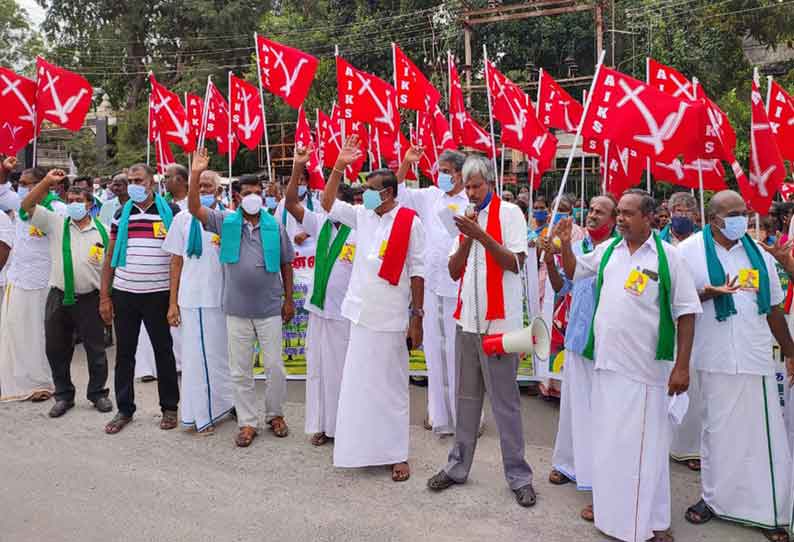 தென்னை நல வாரியம் அமைக்க கோரி தமிழ்நாடு விவசாயிகள் சங்கத்தினர் ஆர்ப்பாட்டம்