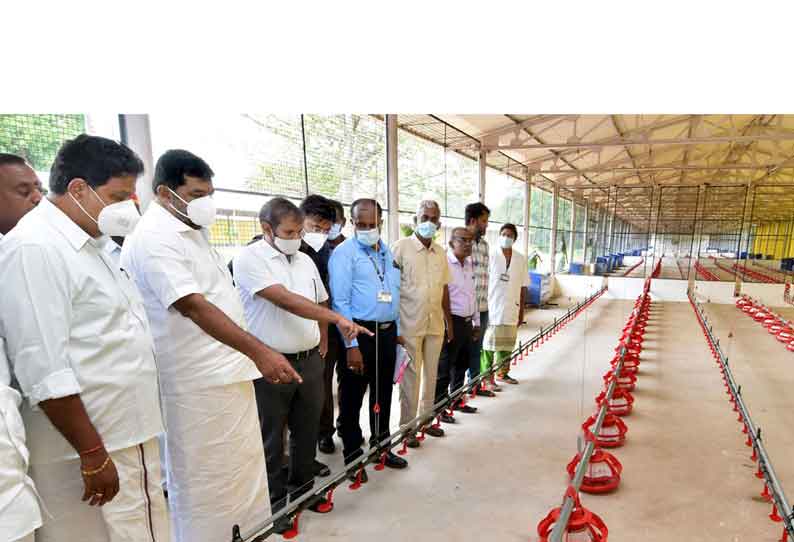 ஓசூரில் மாவட்ட கால்நடை பண்ணையில் ரூ6¾ கோடியில் நாட்டின கோழிகள் இனப்பெருக்க வளாகம் காணொலி காட்சி மூலம் முக ஸ்டாலின் திறந்து வைத்தார்