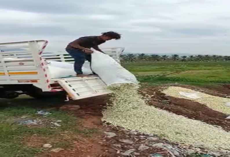 சத்தியமங்கலத்தில் விலை வீழ்ச்சியால் 1 டன் சம்பங்கி பூக்களை  குப்பையில் கொட்டிய விவசாயிகள்