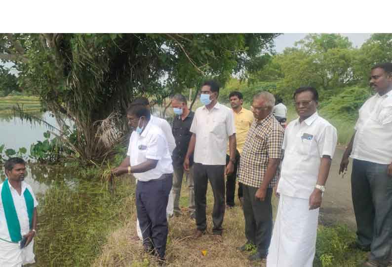 விளைநிலங்களை மாவட்ட வேளாண் இணை இயக்குனர் பார்வையிட்டு ஆய்வு