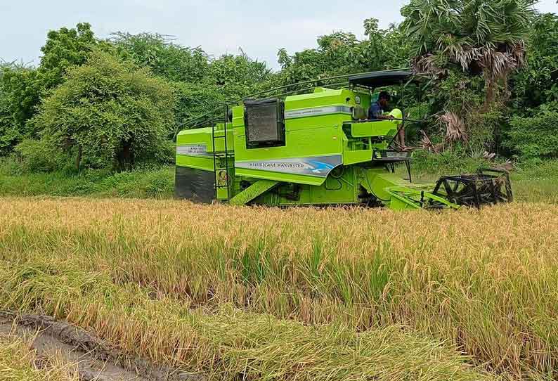 மழை குறுக்கிட்டதால் கூத்தாநல்லூரில் குறுவை அறுவடை பணிகள் மீண்டும் பாதிப்பு