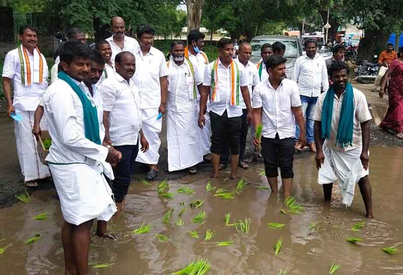 சிங்காரப்பேட்டையில் காங்கிரஸ் சார்பில் நாற்று நடும் போராட்டம்