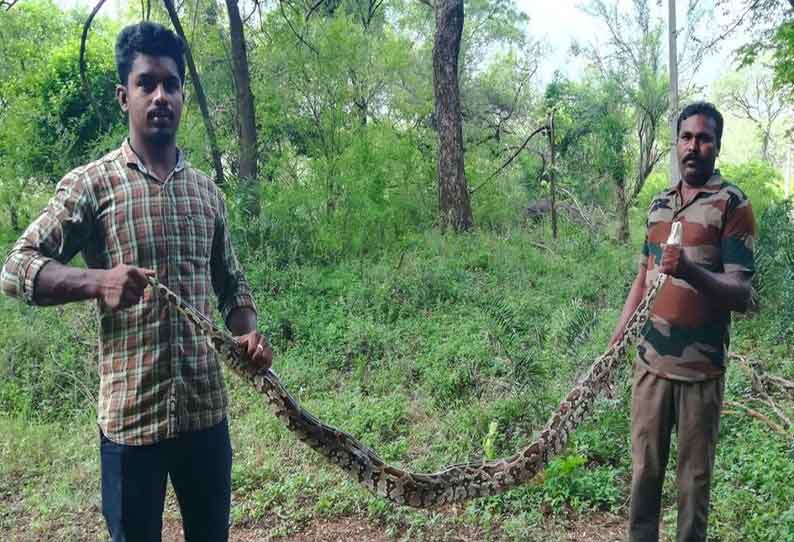 மீன்பிடிக்க விரித்த வலையில் சிக்கிய மலைப்பாம்பு