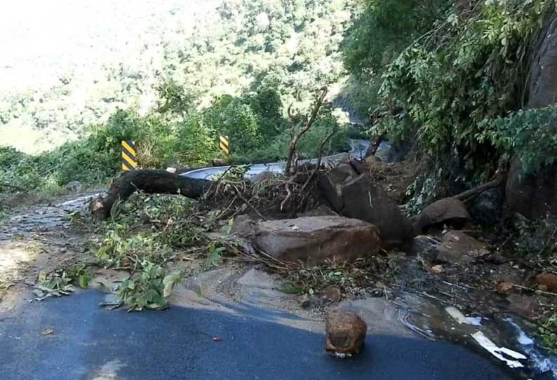 கொடைக்கானல் அருகே கனமழையால் மலைப்பாதையில் மண்சரிவு; மரங்கள் சாய்ந்ததால் போக்குவரத்து பாதிப்பு