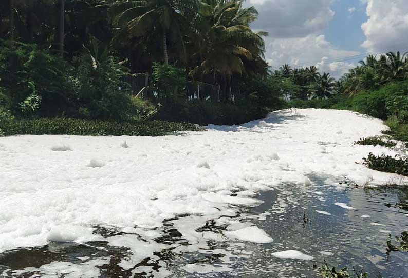 பழனி அருகே ஓடையில் வழிந்தோடிய வெண்ணிற நுரை