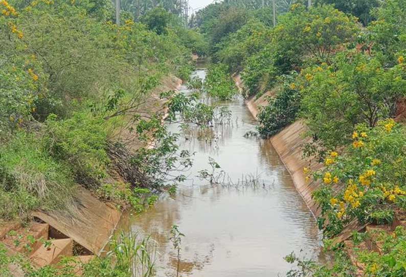 பி.டி.ஆர். கால்வாய்க்கு வந்த முல்லைப்பெரியாறு தண்ணீர்