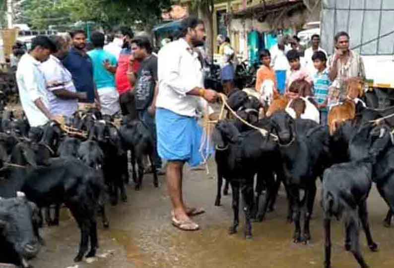 தர்மபுரி வாரச்சந்தையில் ரூ50 லட்சத்திற்கு ஆடுகள் விற்பனை கோழி மீன் கடைகளில் அலைமோதிய கூட்டம்