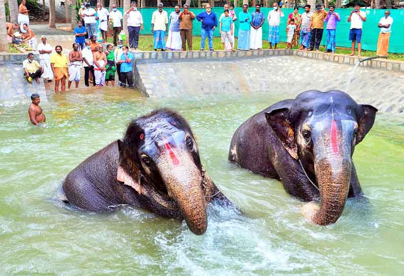 ஸ்ரீரங்கம் கோவில் யானைகள் உற்சாக குளியல்