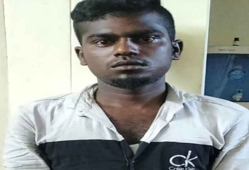 2 பெண்களிடம் சங்கிலி பறித்த வாலிபர் கைது