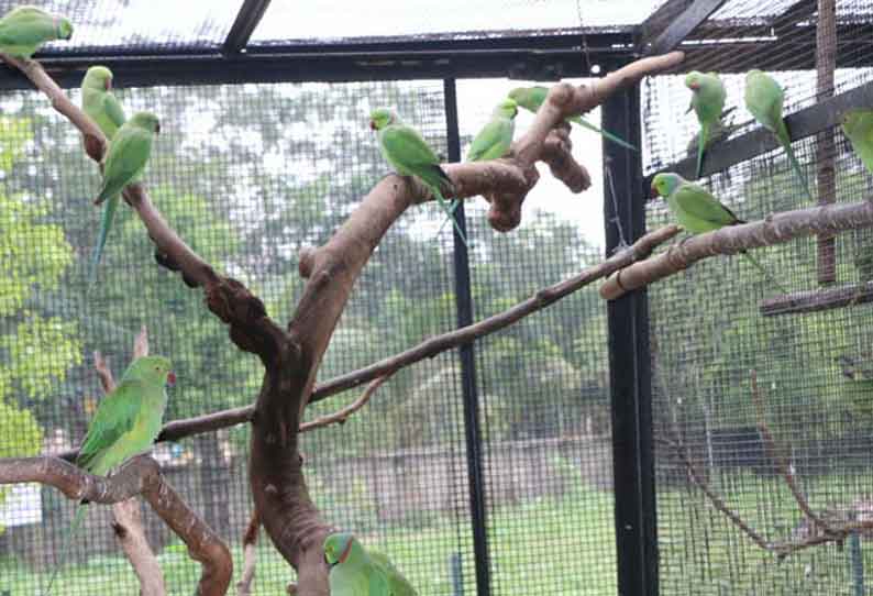 கோவையில் பறவைகள் மறுவாழ்வு மையம்