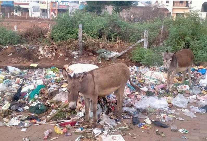 தினத்தந்தி புகார் பெட்டி