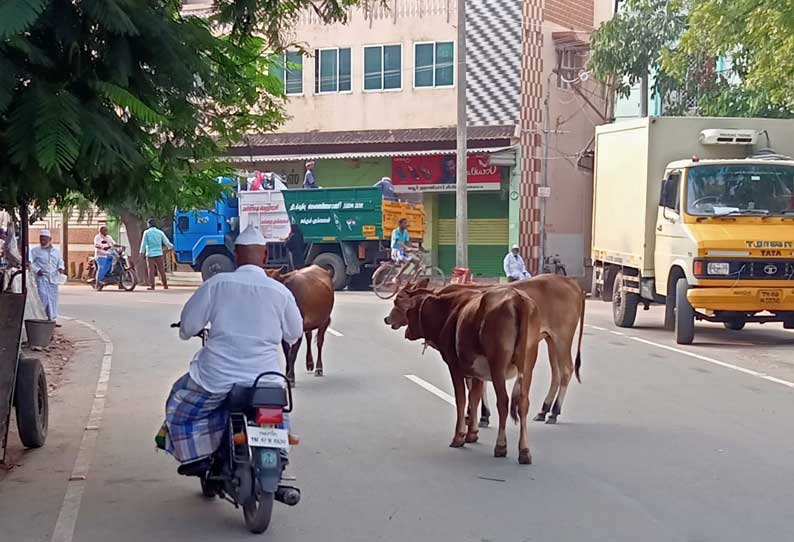 ‘தினத்தந்தி’ புகார் பெட்டி