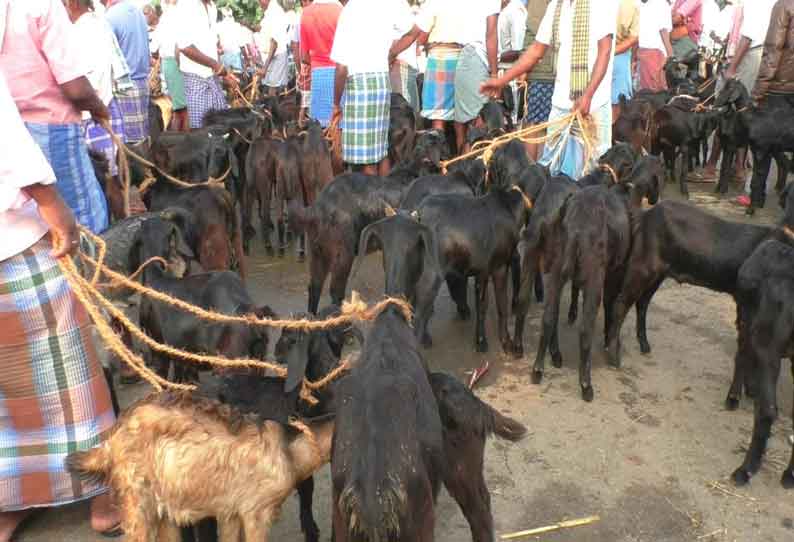 மணப்பாறை சந்தையில் ஆடுகள் விலையில்லாததால் விவசாயிகள் ஏமாற்றம்