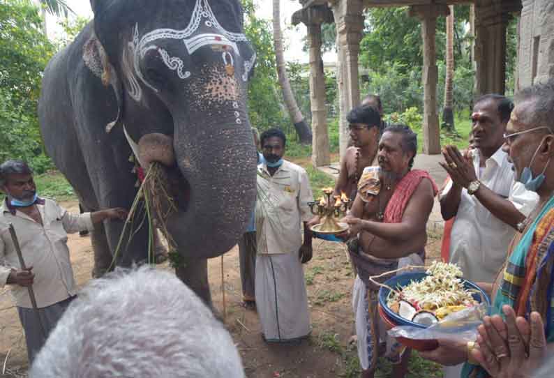 காந்திமதி யானைக்கு குளியல் தொட்டி; பூமி பூஜையுடன் பணி தொடங்கியது