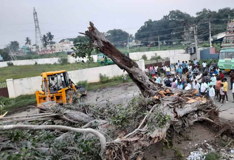 ஆலமரம் விழுந்து வணிக வளாகம், மோட்டார் சைக்கிள்கள் சேதம்