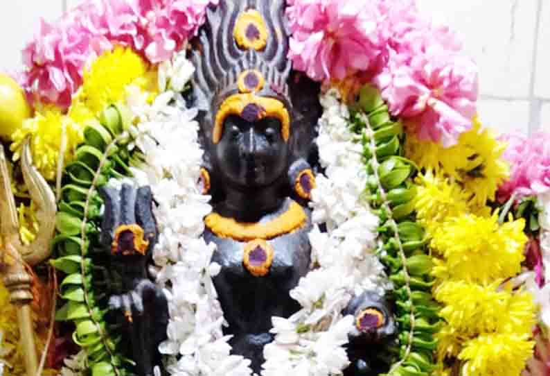 சிறப்பு அலங்காரத்தில் பைரவர்