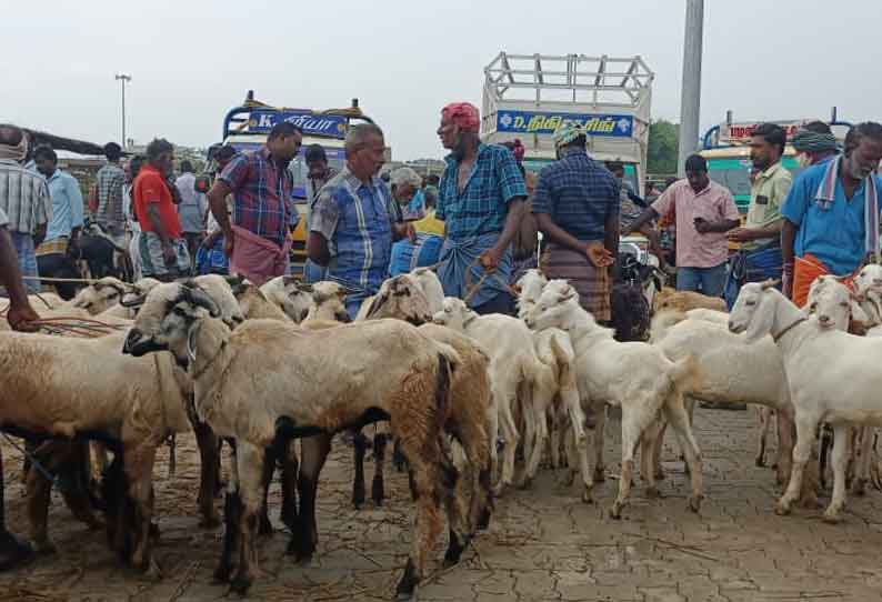 தீபாவளி பண்டிகையையொட்டி வேப்பூர் வாரச்சந்தையில் ரூ.3 கோடிக்கு ஆடுகள் விற்பனை