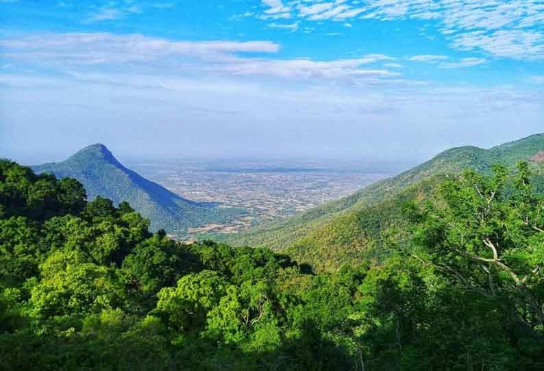 திருச்சி, புதுக்கோட்டை உள்பட 5 மாவட்டங்களில் வனப்பரப்பு அதிகரிப்பு