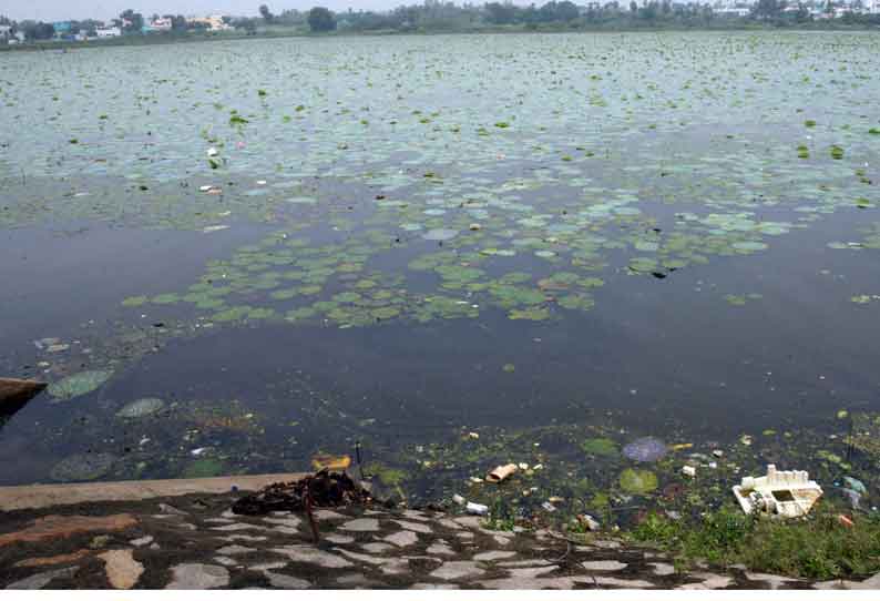 புதுக்கோட்டை மாவட்டத்தில் பரவலாக மழை