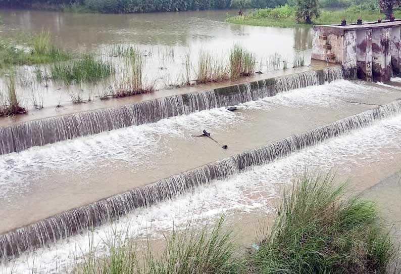 பலத்த மழையால் மக்களின் இயல்பு வாழ்க்கை பாதிப்பு