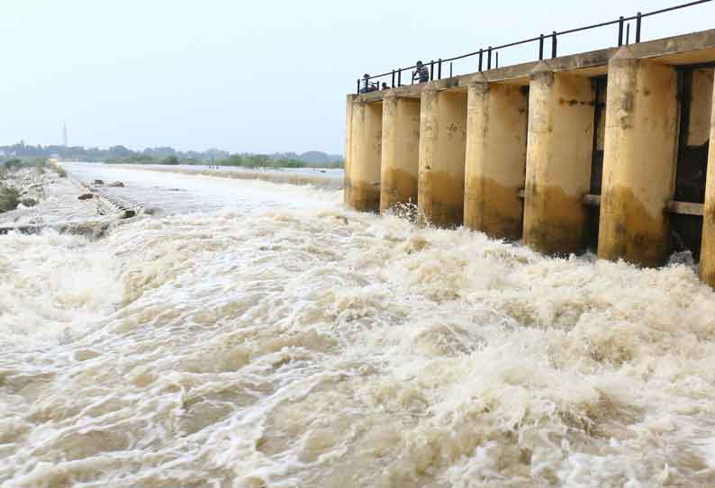 விழுப்புரம் மாவட்டத்தில் பரவலாக மழை; சாலையில் மரம் சாய்ந்தது சிறுவந்தாடு-மடுகரை ரோட்டில் போக்குவரத்து பாதிப்பு