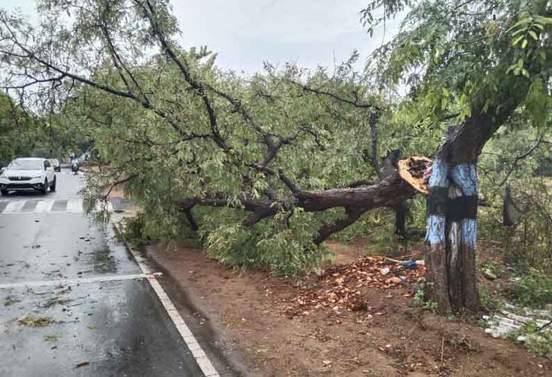 மழையால் குளங்களுக்கு நீர்வரத்து  அதிகரித்துள்ளது