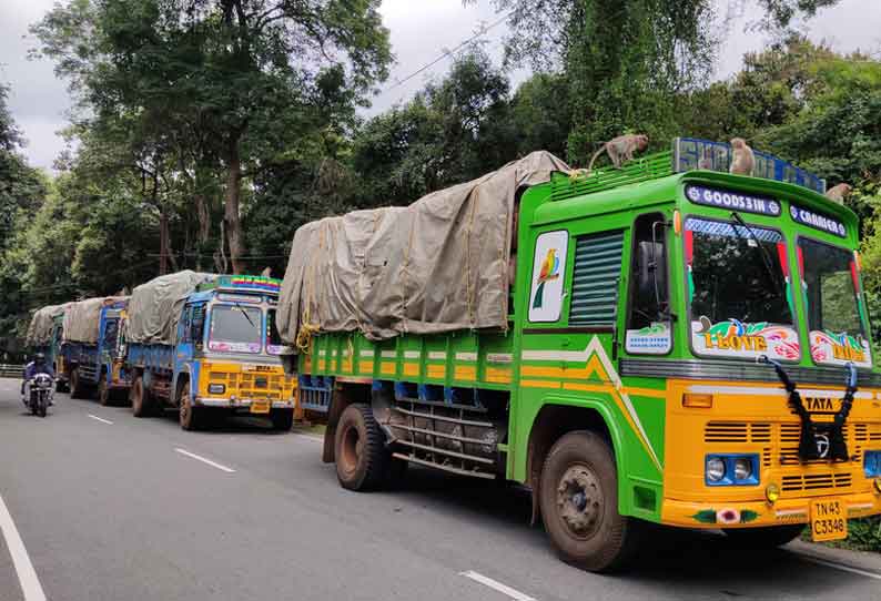 அனுமதியின்றி சில்வர் ஓக் மரங்களை ஏற்றி சென்ற 4 லாரிகள் பறிமுதல்