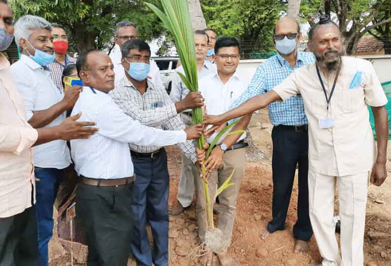 உலக தென்னை மர தின விழா