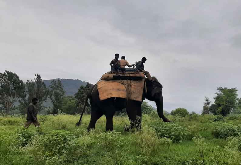 யானை சவாரி ஒத்திகை நிகழ்ச்சி