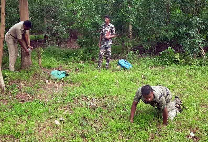 294 இடங்களில் கேமராக்கள் பொருத்தம்