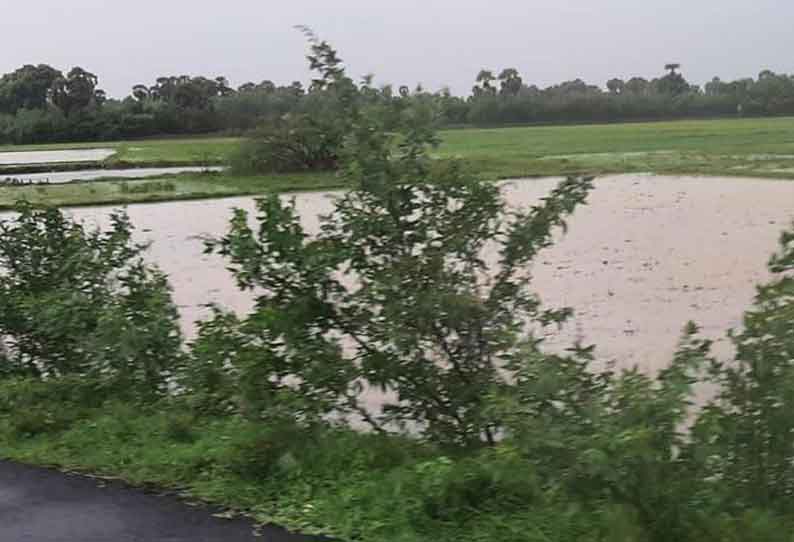 திருமக்கோட்டையில் பலத்த காற்றுடன் கனமழை