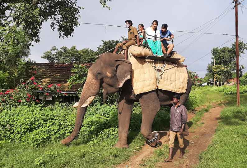 முதுமலையில் யானை சவாரி தொடங்கியது