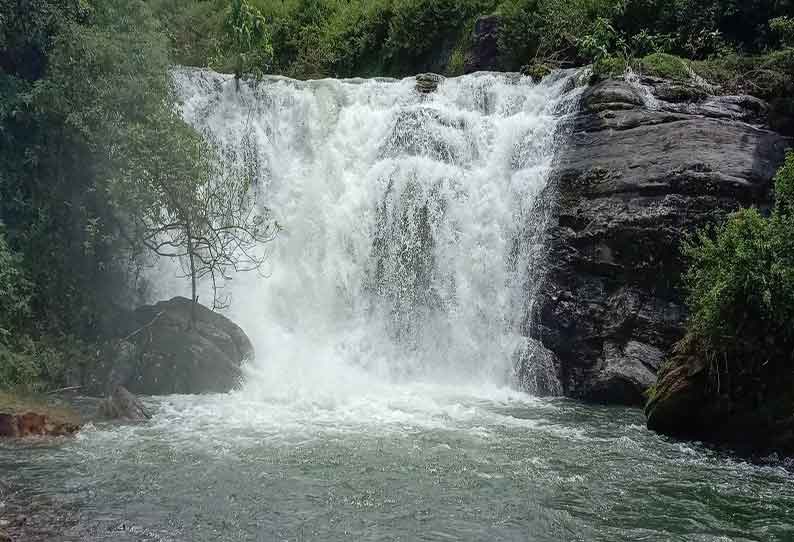 வால்பாறை பகுதியில் தொடர்மழை அருவியில் தண்ணீர் ஆர்ப்பரித்து கொட்டுகிறது