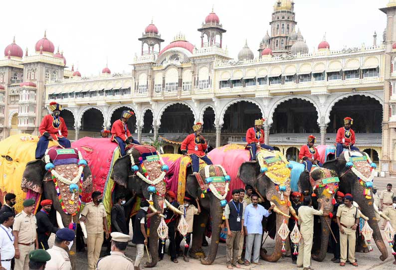 தசரா விழாவில் பங்கேற்க வந்துள்ள 8 யானைகளுக்கு மைசூரு அரண்மனையில் உற்சாக வரவேற்பு