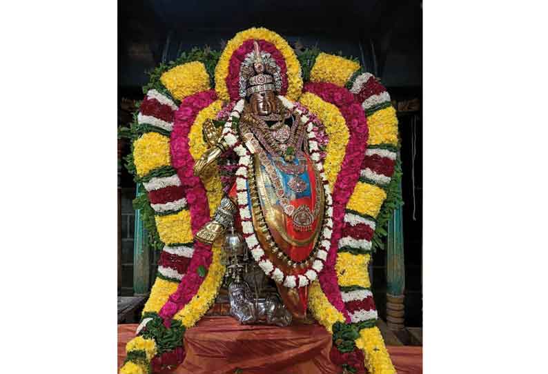 நடராஜருக்கு சிறப்பு அலங்காரம்