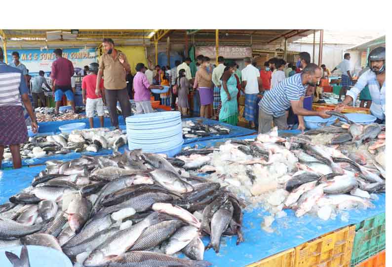 திருப்பூர் தென்னம்பாளையம் மீன் மார்க்கெட்டில்விற்பனை குறைவாக இருந்தது