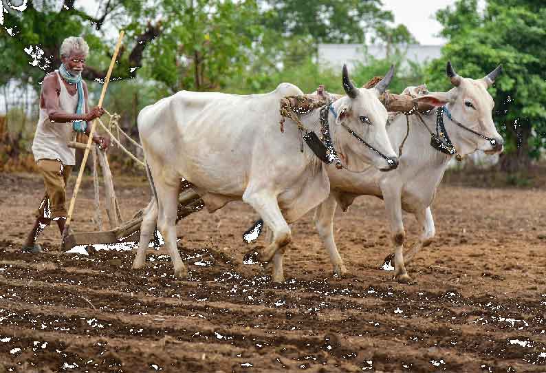 மத்திய அரசு நிறைவேற்றி உள்ள 3 வேளாண் சட்டங்களை ரத்து  செய்யக்கோரி காங்கேயம்,வெள்ளகோவிலில் தி.மு.க. மற்றும் கூட்டணி கட்சிகள் சார்பில் பல்வேறு இடங்களில் கருப்பு கொடி ஏந்தி போராட்டம் நடைபெற்றது