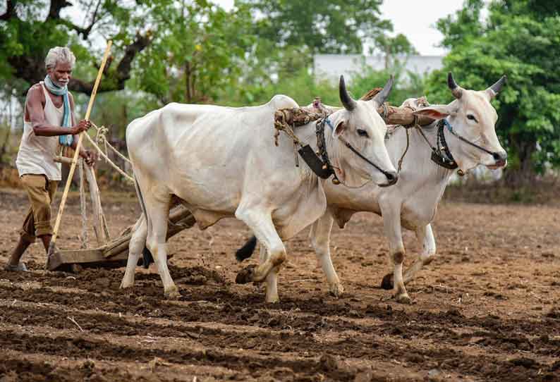 மாவட்ட கலெக்டர் அலுவலகத்தின் முன்பு கண்டன ஆர்ப்பாட்டம்