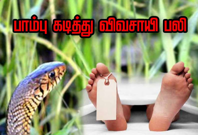 பொன்னேரி அருகே பாம்பு கடித்து விவசாயி பலி