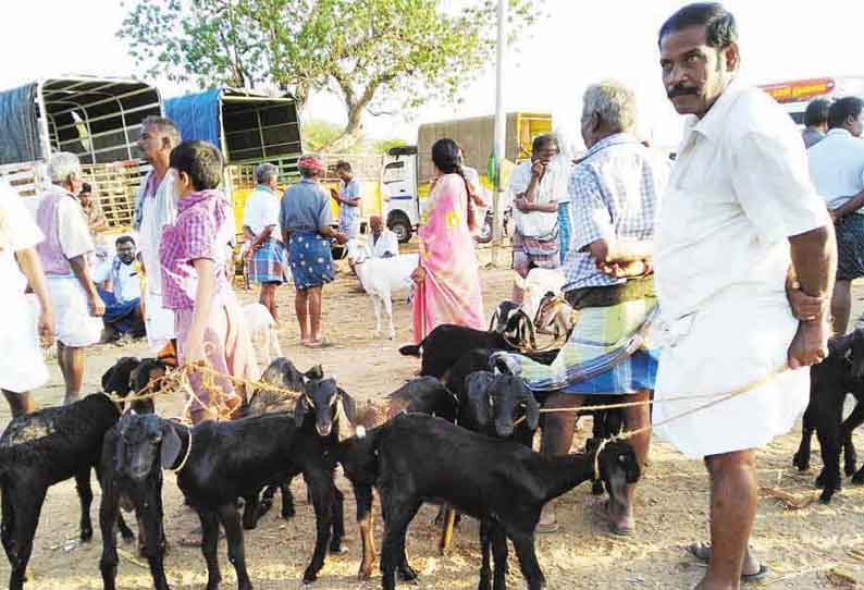 இறைச்சி கடைகளில் விற்பனை மந்தம்