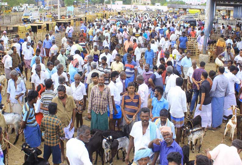 மேலப்பாளையம் சந்தையில் ஆடுகள் விற்பனை மும்முரம்