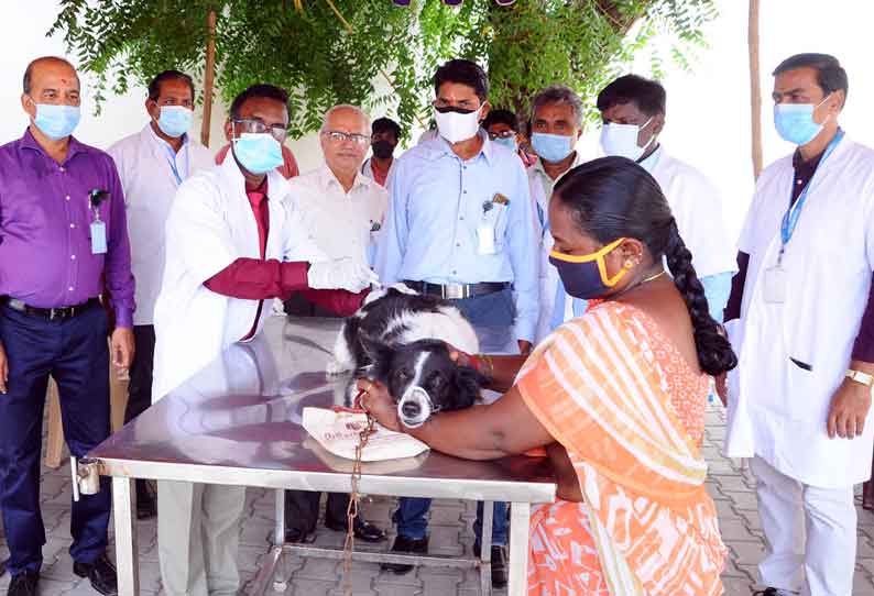 நாமக்கல்லில் செல்ல பிராணிகளுக்கான வெறிநோய் தடுப்பூசி முகாம்