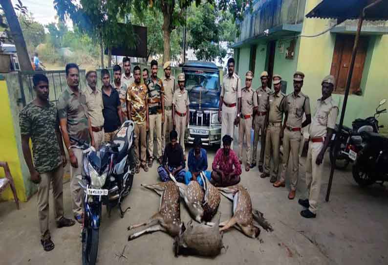 புள்ளி மான், காட்டுப்பன்றியை வேட்டையாடி கொன்ற 3 பேர் கைது