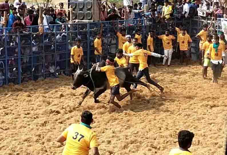 கறம்பக்குடி அருகே ஜல்லிக்கட்டு; சீறிப்பாய்ந்த காளைகள் முட்டியதில் 65 பேர் காயம்