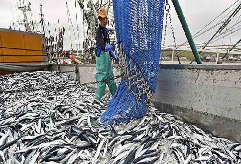 மீன் வளர்ப்பு தொழிலுக்கு அரசு மானியம்; கலெக்டர் கிருஷ்ணனுண்ணி தகவல்