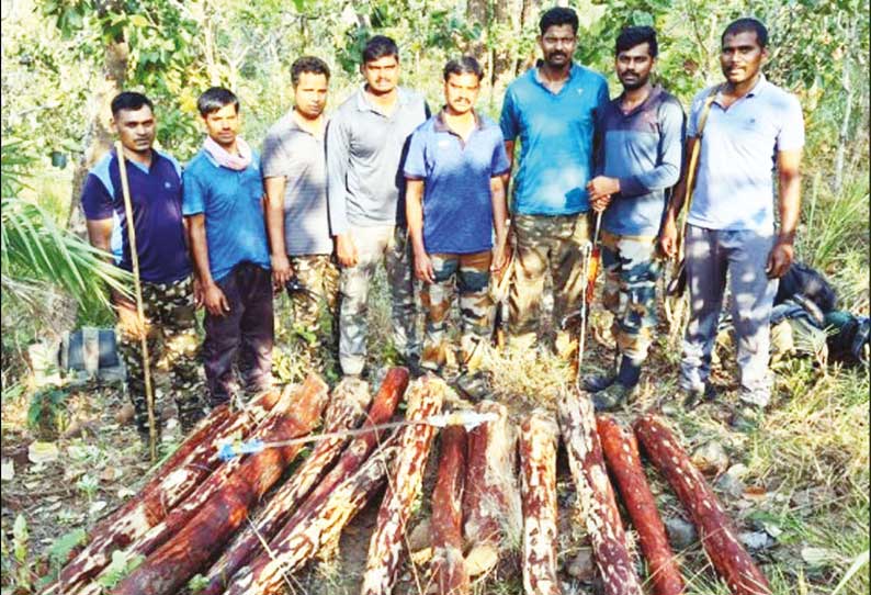 திருப்பதி அருகே 14 செம்மரக்கட்டைகள் பறிமுதல் - தப்பியோடிவர்களுக்கு போலீஸ் வலைவீச்சு