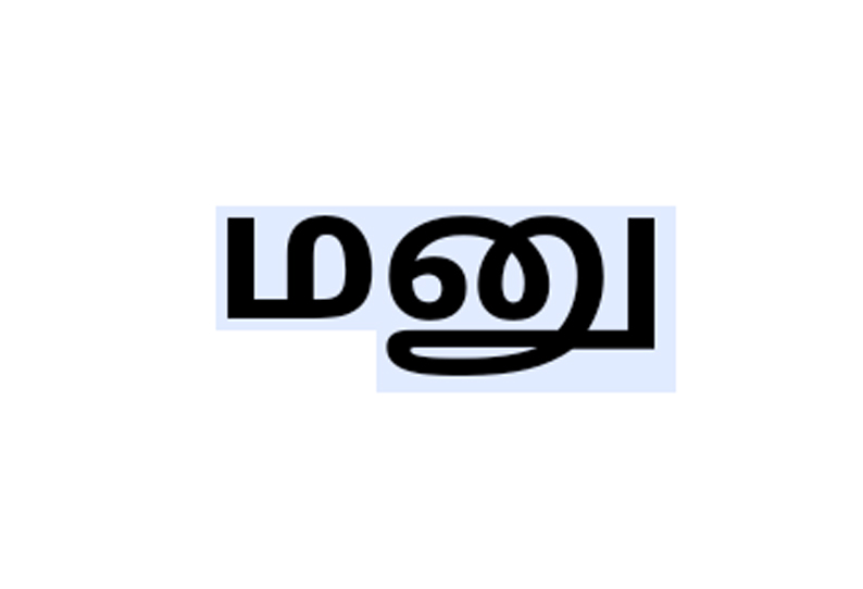 தி.மு.க. பேச்சாளர் மீது நடவடிக்கை எடுக்கக்கோரி பா.ஜ.க.வினர் மனு